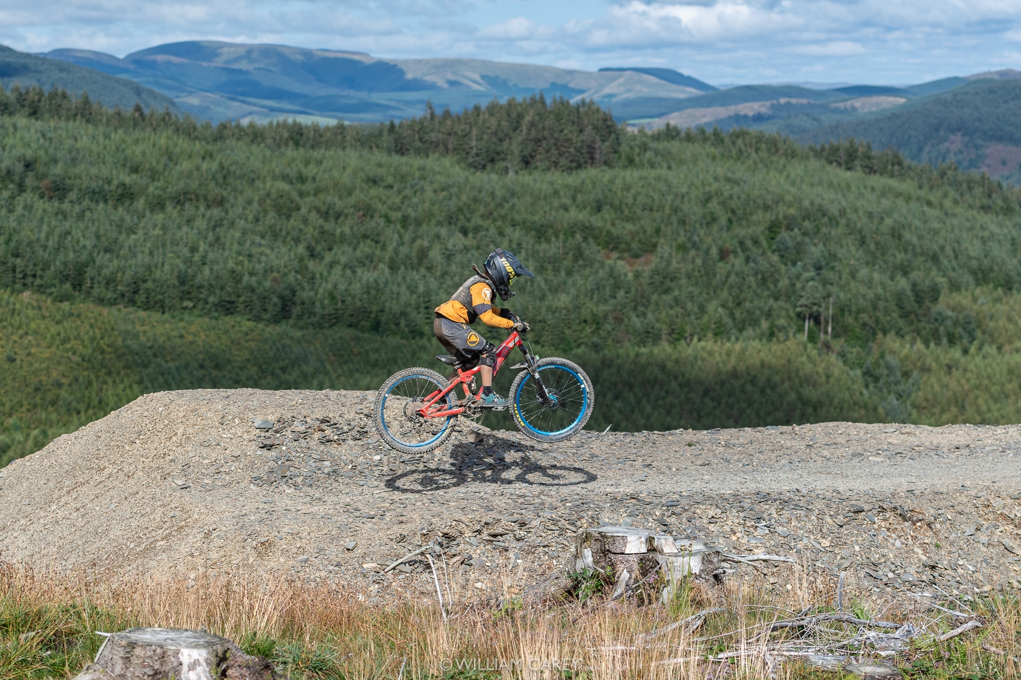 dyfi bike park