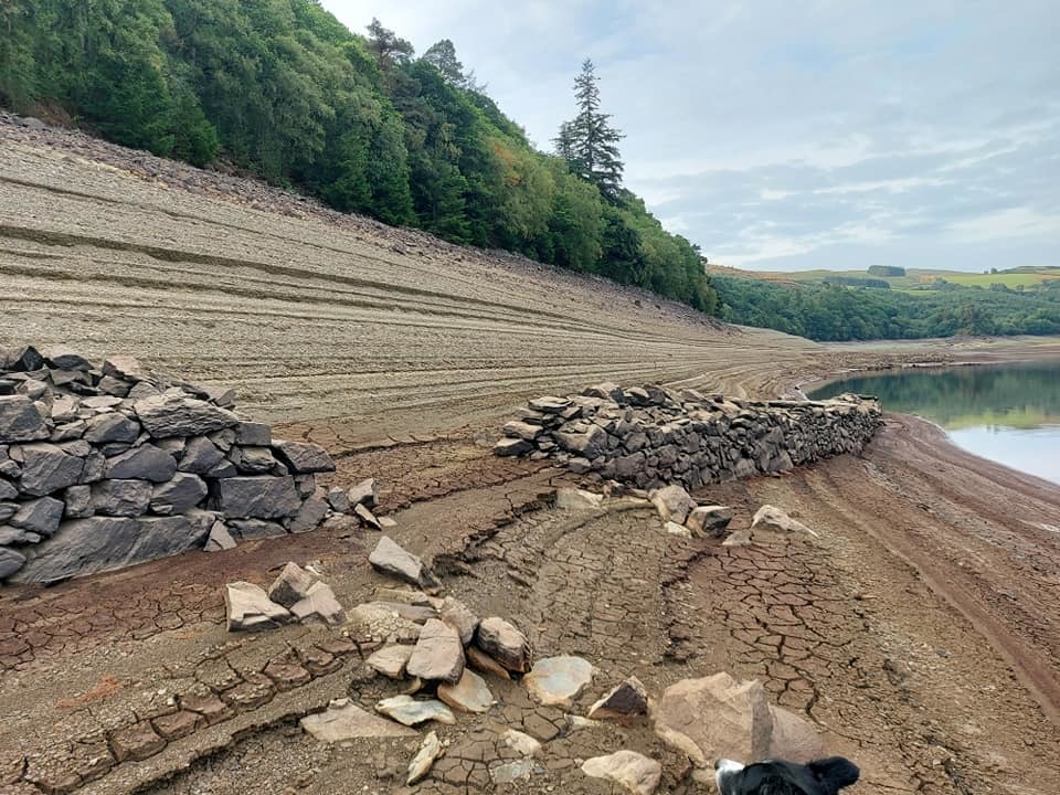 Remains of an old wall under Caban Coch Reservoir