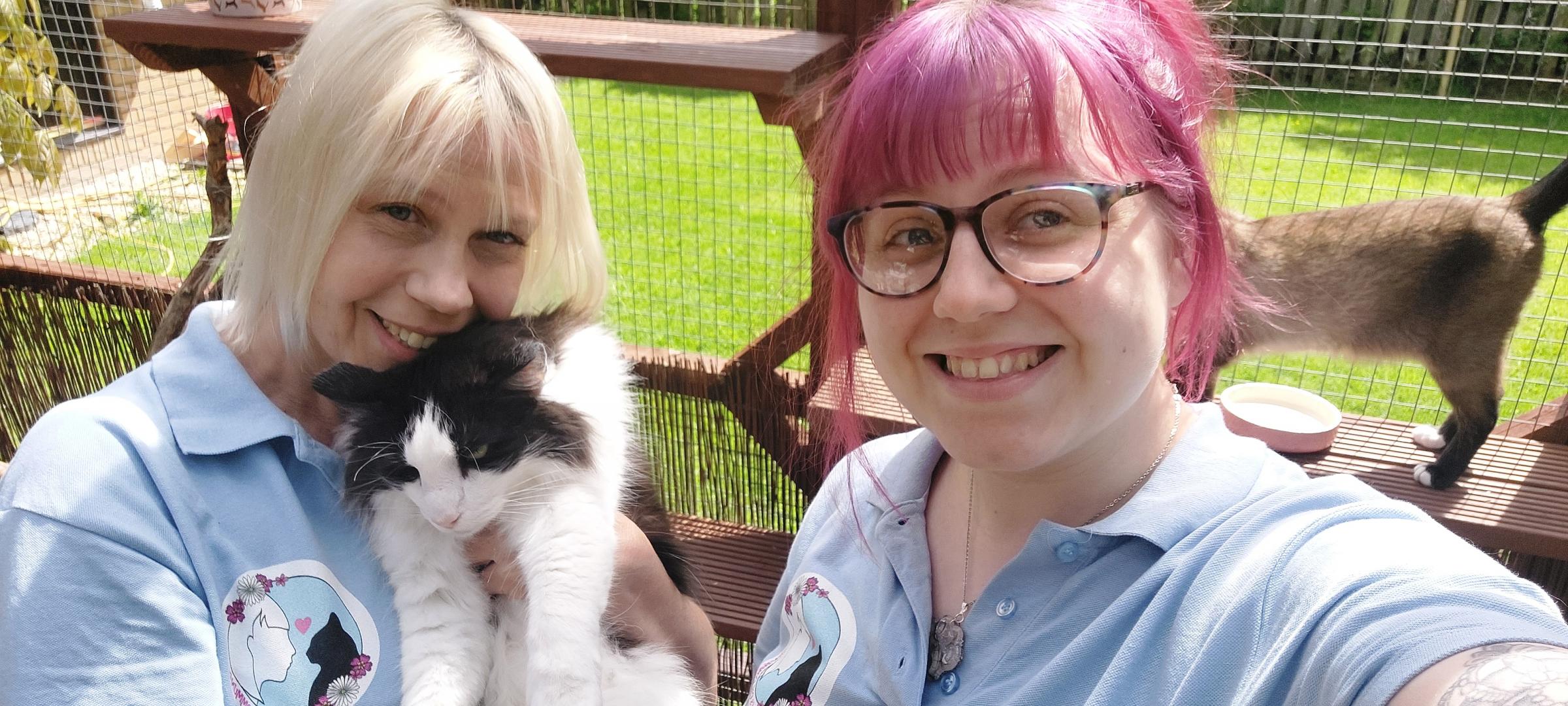 The mum and daughter who share their Powys home with more than 70 cats